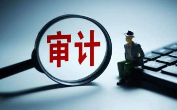 2023年工作总结审计精选5篇