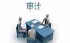 审计自查报告财务8篇