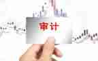 审计员述职报告5篇