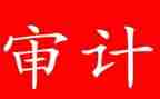审计所的工作计划8篇
