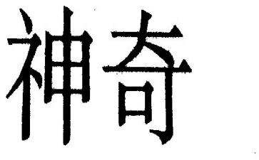 神奇的鸟读后感5篇