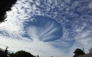 我的神奇的笔作文5篇