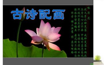 小班幼儿诗教案优秀6篇