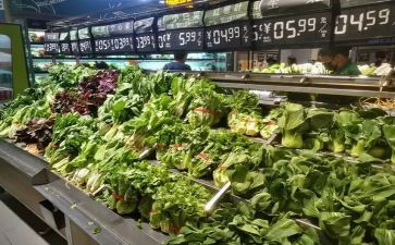 车市场调研报告优秀6篇