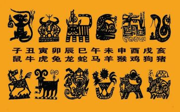 十二生肖教案优秀6篇