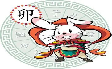 十二生肖教案6篇