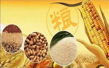 世界粮食日倡议书7篇