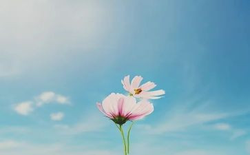 这十年演讲稿7篇