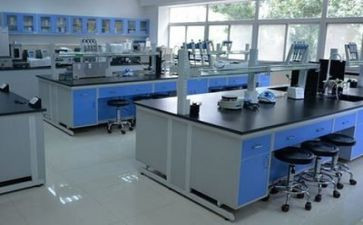 写实验的优秀作文优质5篇