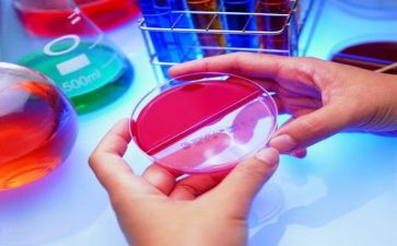 作文写实验的作文精选6篇