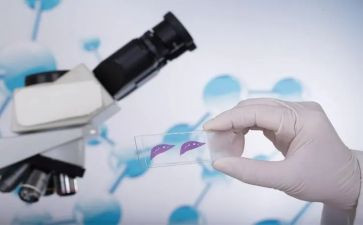 写实验的优秀作文参考7篇