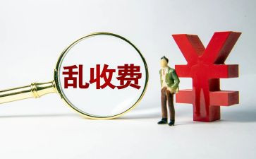 2024年收费个人总结模板5篇