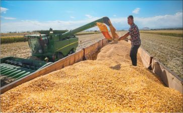 我的收获作文通用5篇