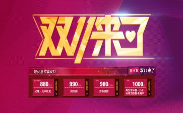 双11作文300字精选5篇