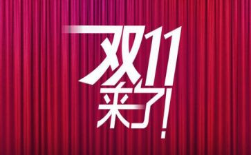 仓储双11工作总结精选5篇