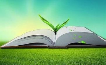 双减的自查报告6篇