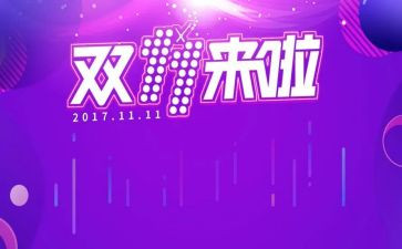 双十一的个人总结优秀8篇