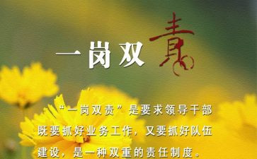 副一岗双责述职报告6篇