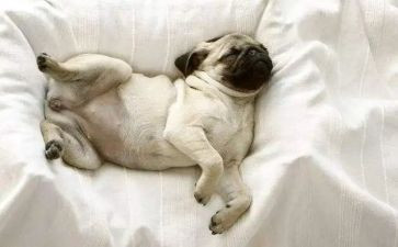 你睡觉了作文精选8篇