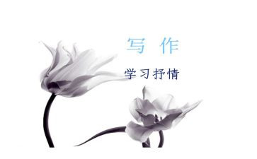 抒情类的作文500字6篇