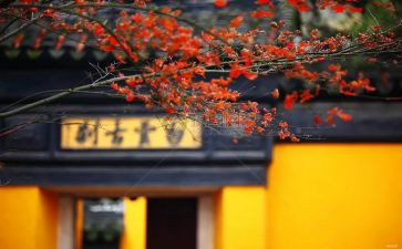 寺管主任述职报告范文7篇