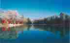 描写四季的作文500字5篇
