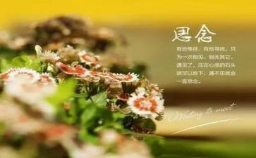 思念家乡的作文参考5篇