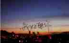 思念狗作文800字8篇