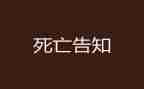 死亡电影观后感5篇