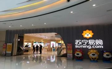 苏宁工作总结8篇