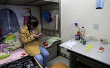 宿舍文化节的演讲稿5篇