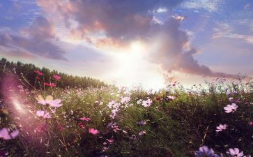 天空上的作文参考8篇