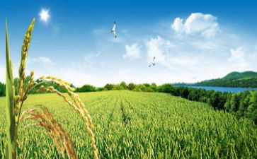 去田野的作文8篇