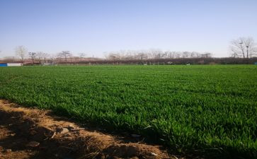 去田野的作文通用8篇