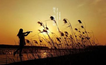 聆听自然的声音作文7篇