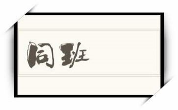 《我的同班同学》作文7篇