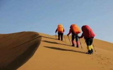 我与2024同行作文6篇