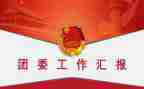 学校团委工作报告7篇