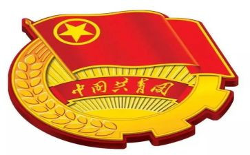 学团章,守团章,用团章心得5篇