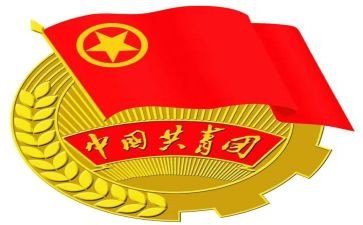 团支部学期工作总结6篇
