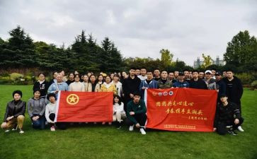 团组织活动总结范文8篇