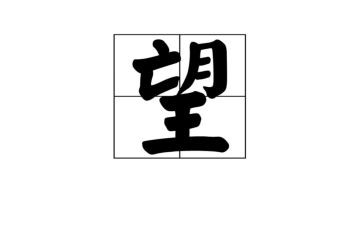 总结2023展望2023的工作总结8篇