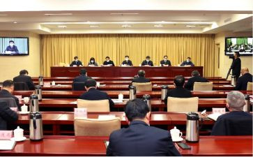 审委会述职报告6篇