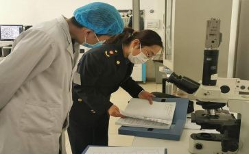 卫生工工作述职报告6篇