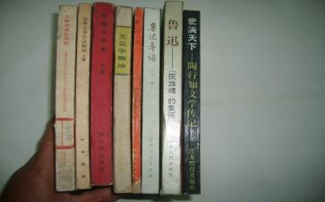 聋九年级语文教学计划8篇