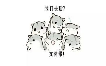 文体活动工作总结7篇