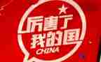 我爱我的国的演讲稿优质5篇