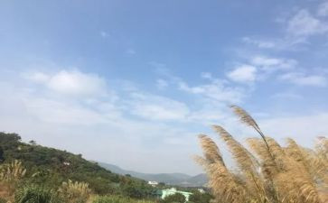 英语我的一天作文7篇