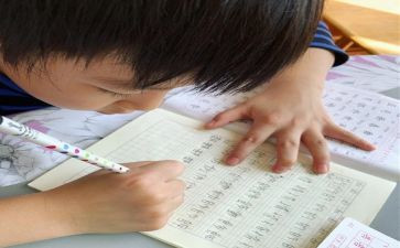 我想变成牛的作文通用7篇