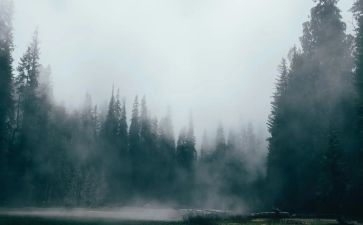 雾霾的倡议书作文7篇
